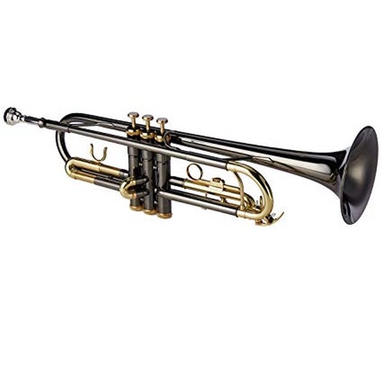 trumpet-in-bb-roy-benson-tr-101k-anthrazit-lacquer_0002.jpg