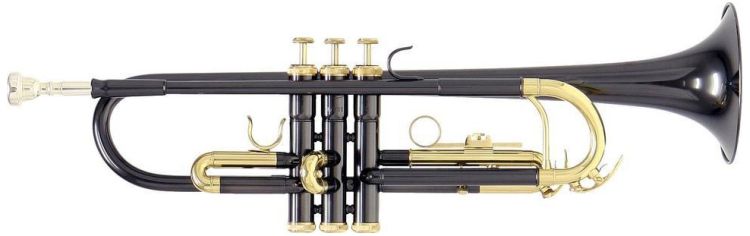 trumpet-in-bb-roy-benson-tr-101k-anthrazit-lacquer_0003.jpg