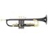 trumpet-in-bb-roy-benson-tr-101k-anthrazit-lacquer_0001.jpg