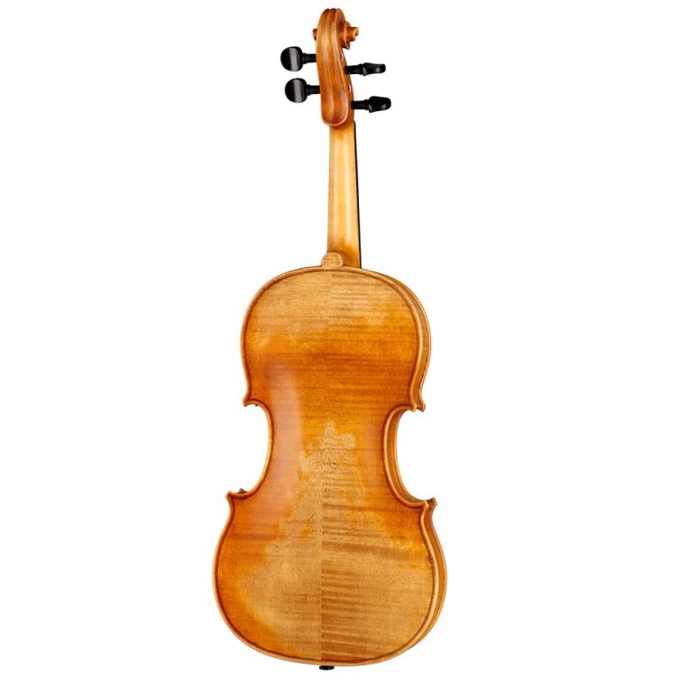 violine-1-4-roderich-paesold-modell-pa802e-1-4-_0002.jpg