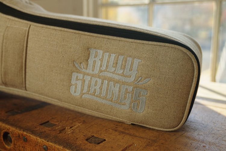 guitare-folk-martin-guitar-modele-d-x2e-billy-stri_0004.jpg