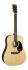 guitare-folk-martin-guitar-modele-d-x2e-billy-stri_0001.jpg