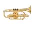 bb-cornet-yamaha-ycr-2330-ii-lackiert-gold-_0001.jpg