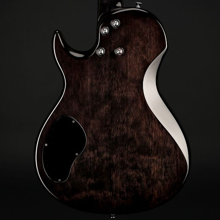 e-gitarre-vigier-modell-g-v-wood-ebony-fade-_0005.jpg