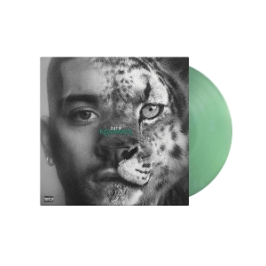 konnakol-swimming-through-seas-color-lp-zayn-repub_0001.JPG